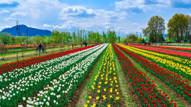 Kashmir